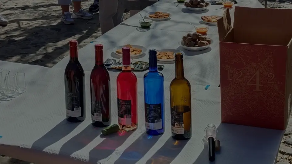 tenerife wine tasting