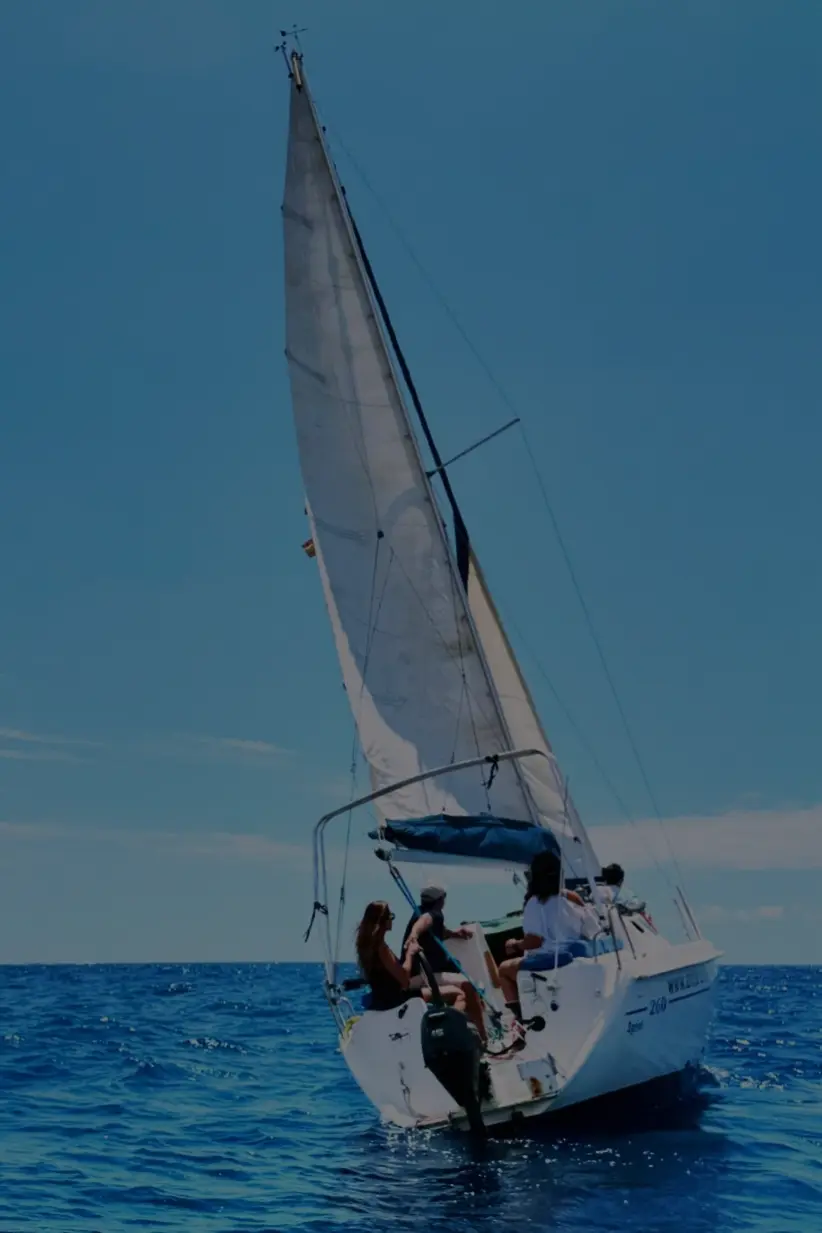 boat tours tenerife