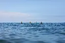 _MG_6266 (1).webp