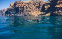 Excursiones Privadas Teide y Delfines un dia mágico 3.webp