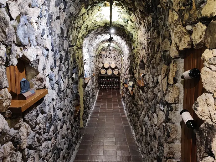 Cata de 6 vinos con Tour por la Bodega