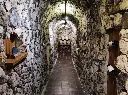 Cata de 6 vinos con Tour por la Bodega