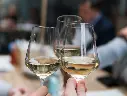 Tenerife GastroWine Sur