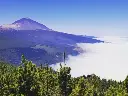 Teide y Delfines un Dia Mágico