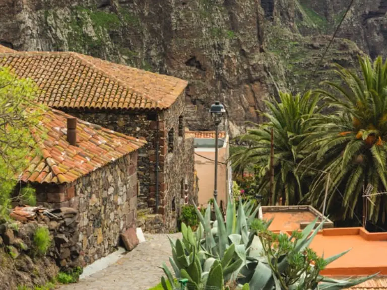Masca Gastro Tour