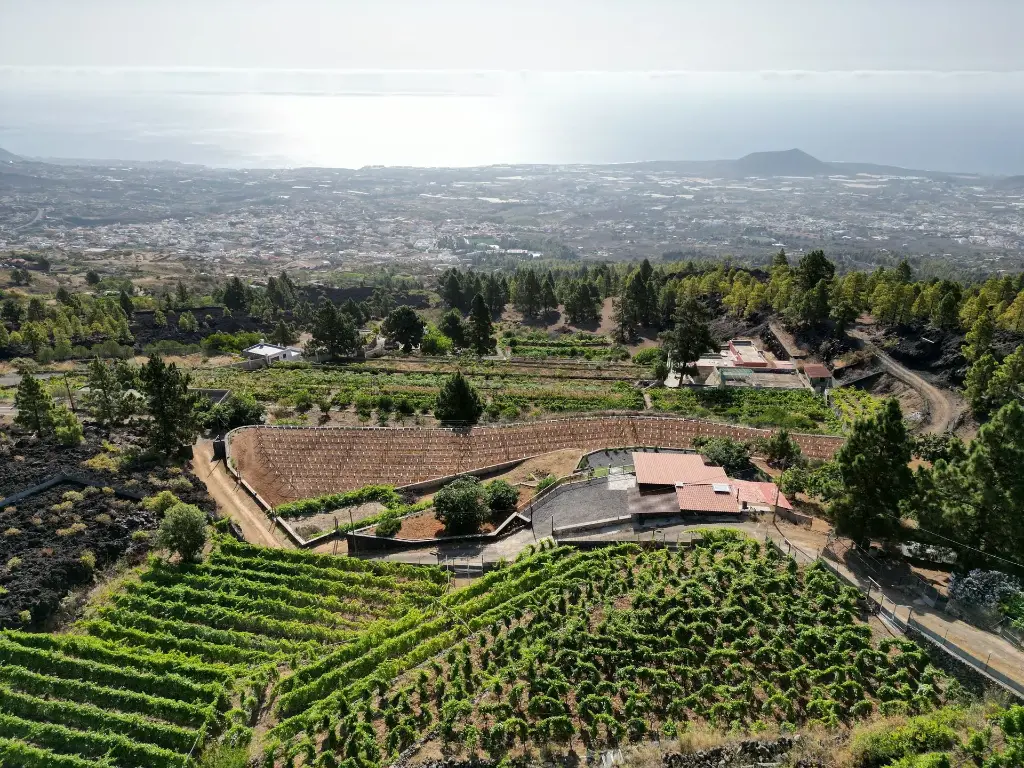 Visita viñedo con cata de vinos larga