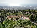 Visita viñedo con cata de vinos larga
