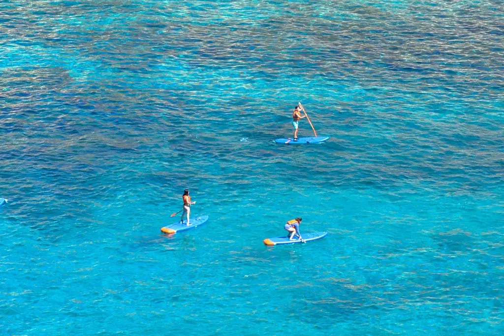 Paddle SUP Water Safari