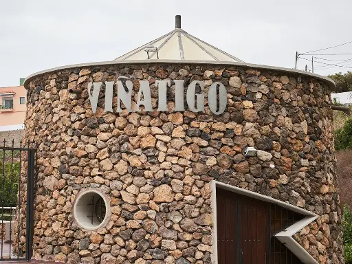 Cata de Vinos comentada