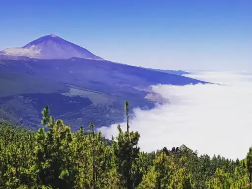 Teide y Delfines un Dia Mágico